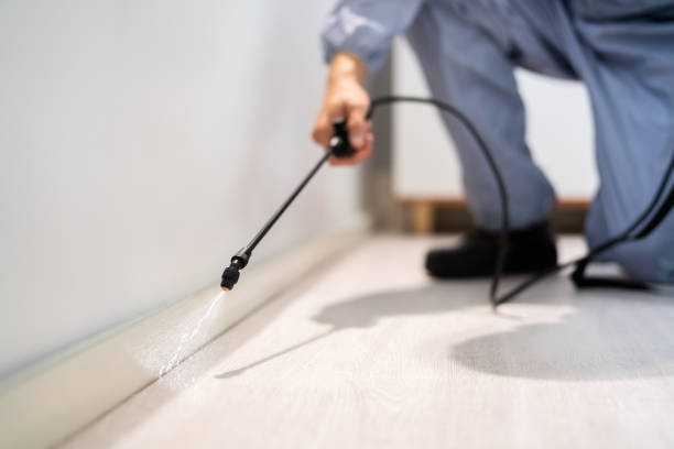 Licensed Pest Control service in Memphis, MO - Show Me Pest Control